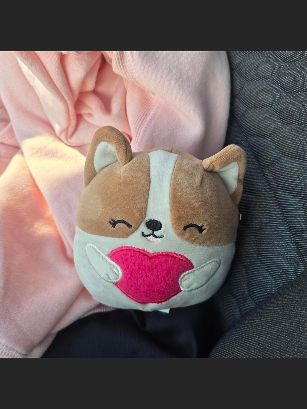 Plush Corgi Heart Pouch - Pink & Brown Kids Accessory